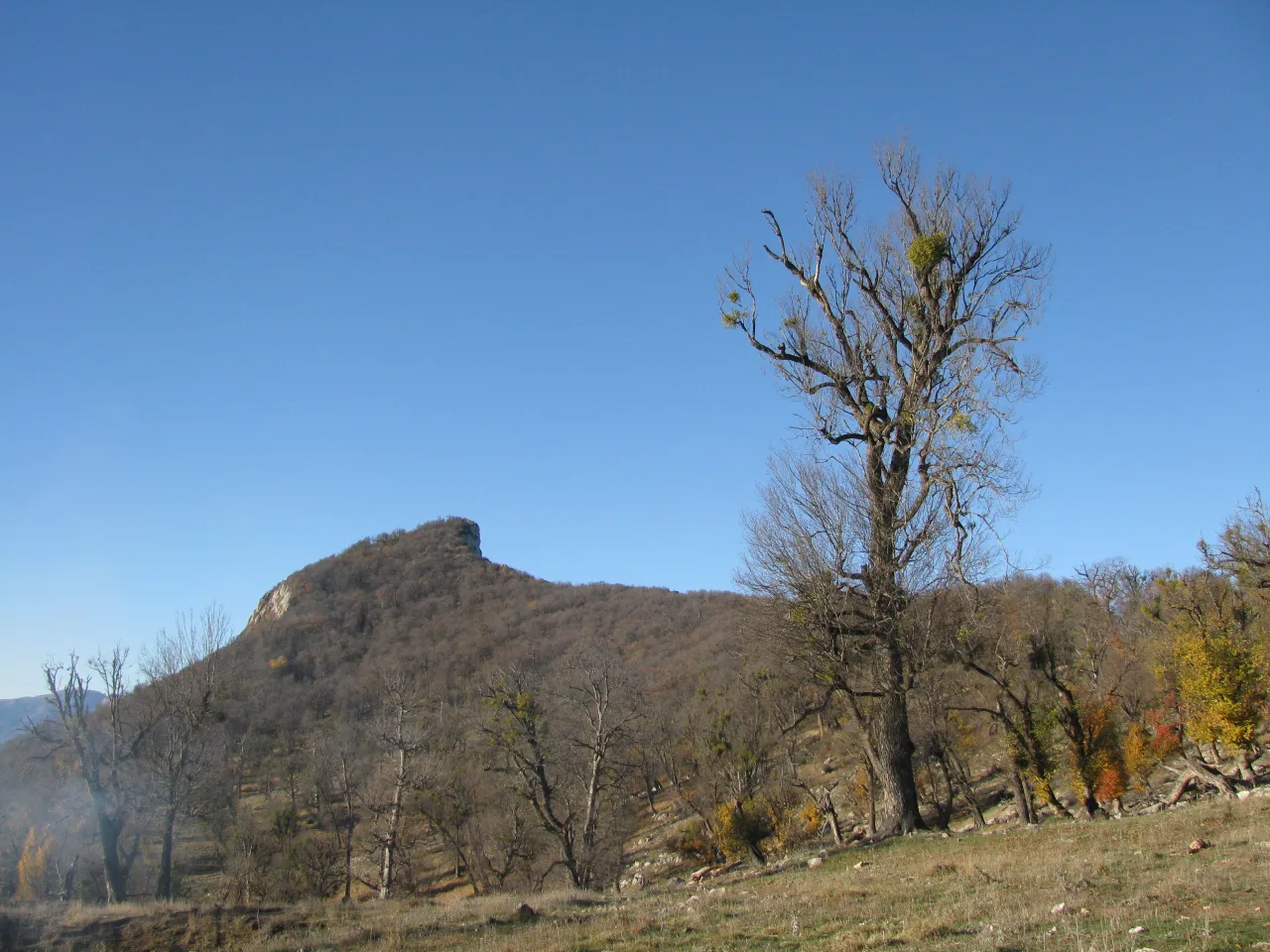 Maran Castle - Adana