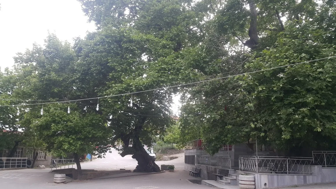 Kocapınar - Afyonkarahisar