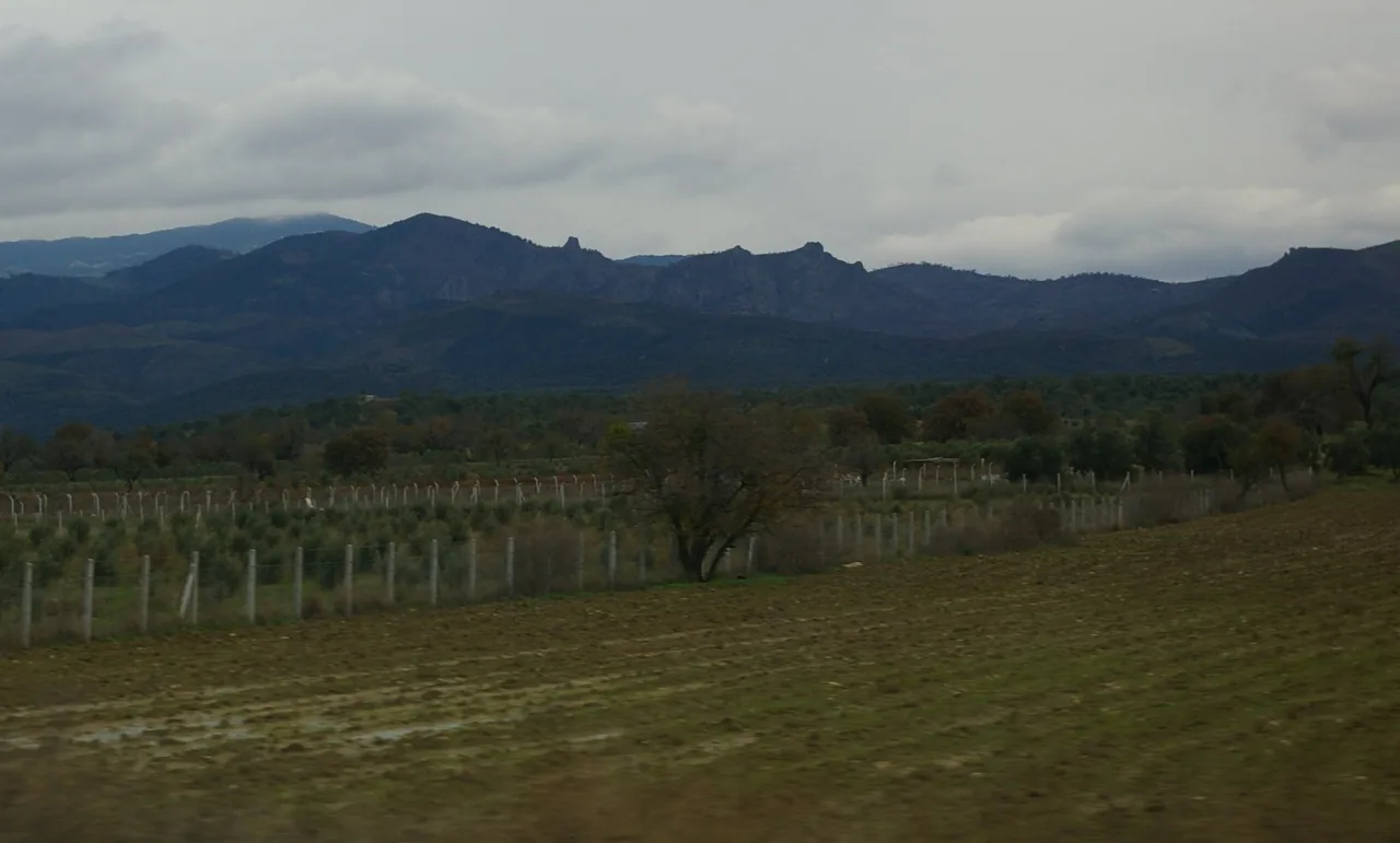 Kocagedik - Antalya