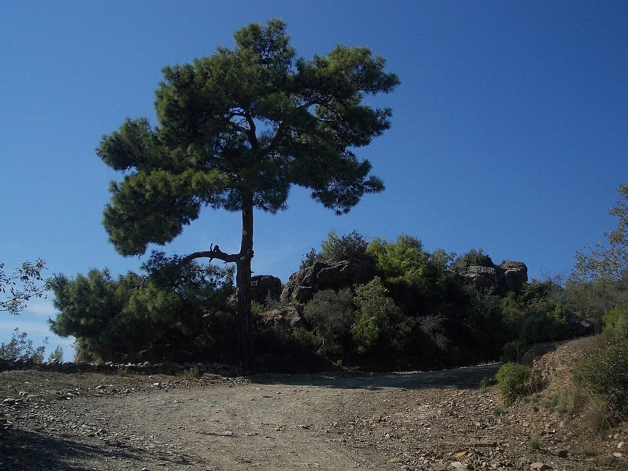 Syedra - Antalya