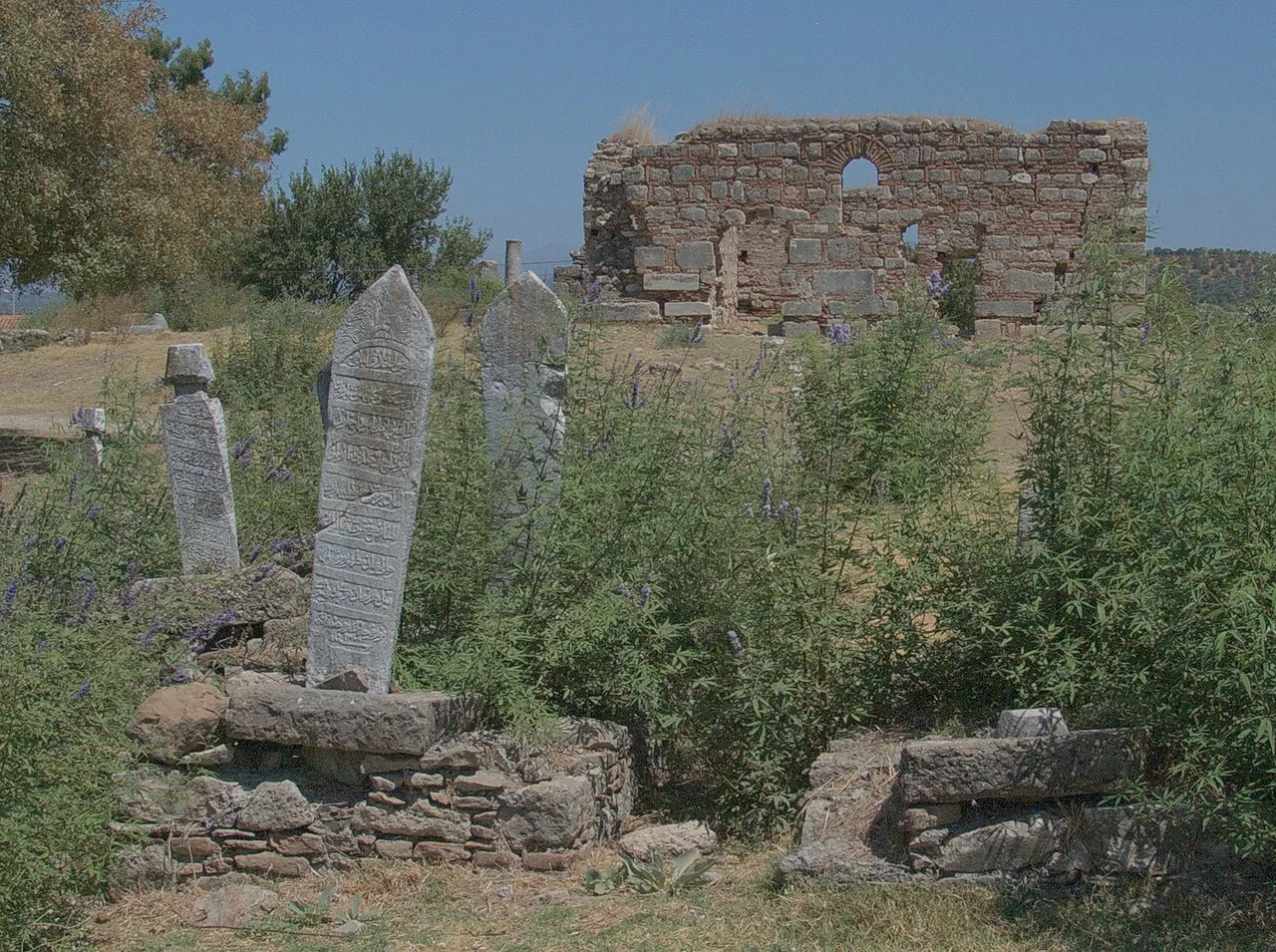 Çerkez Musa Mosque - Aydın
