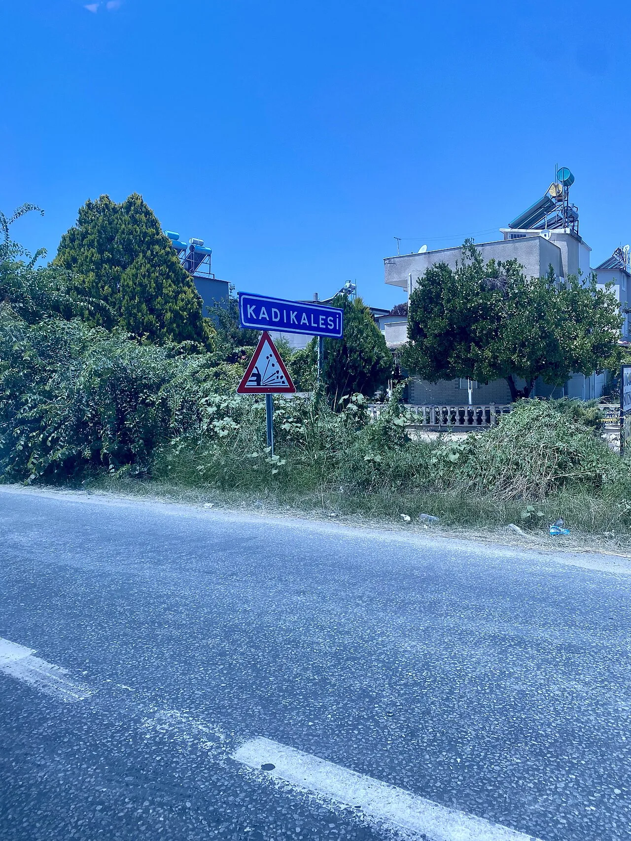 Anaea - Aydın