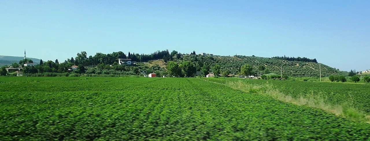Lade - Aydın