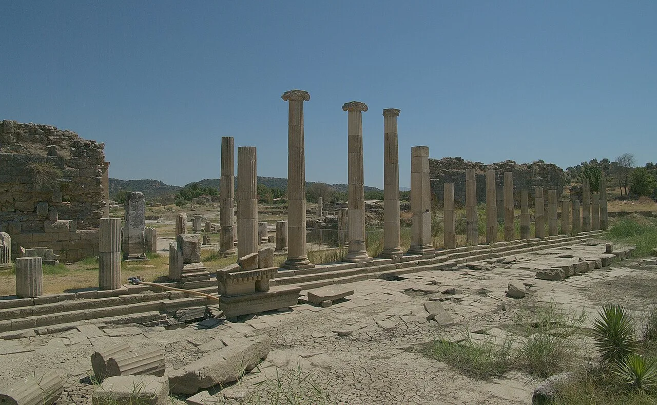 Magnesia - Aydın