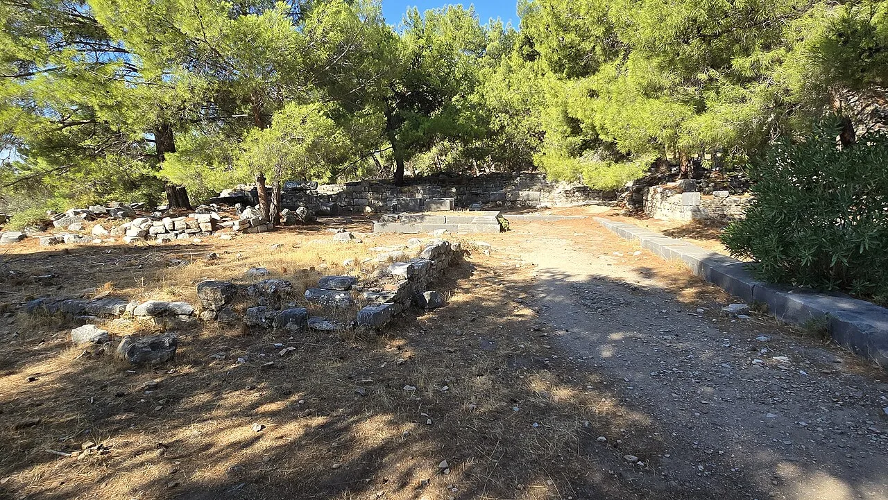 Priene Gymnasium - Aydın