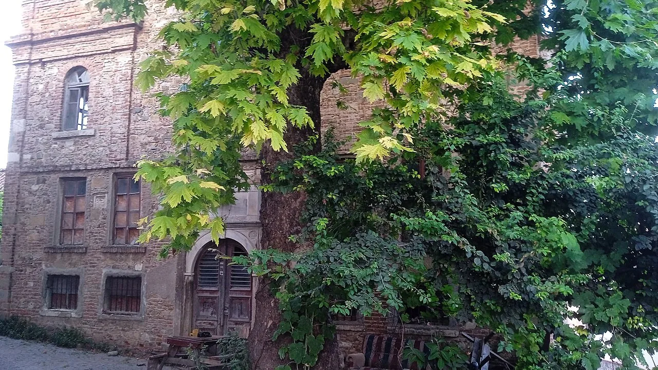 Agios Ioannis church, Tirilye - Bursa