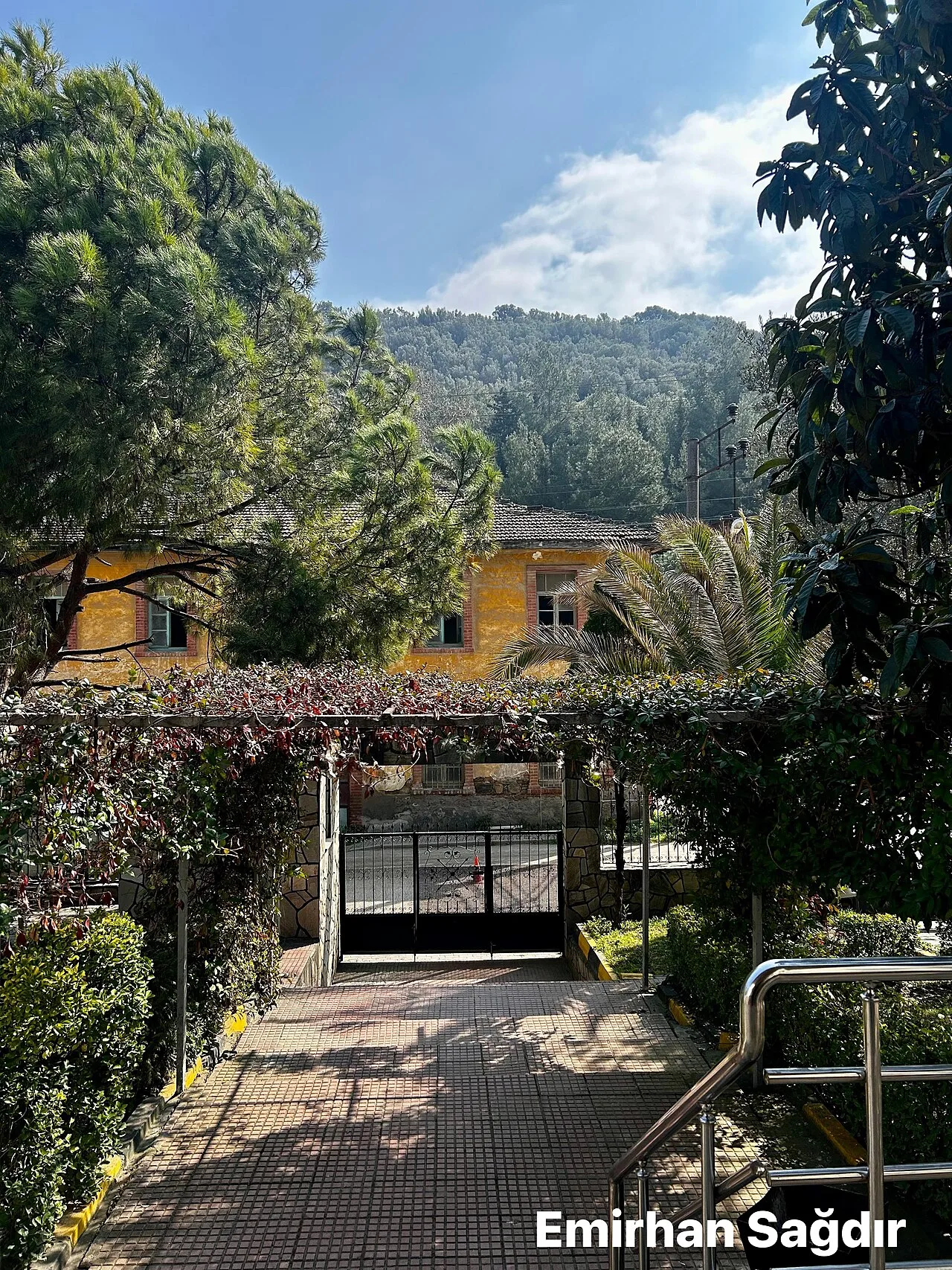Tirilye Olive Oil Factory - Bursa
