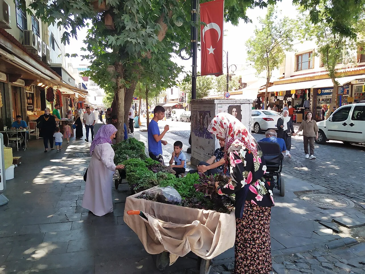 Dorşin - Diyarbakır