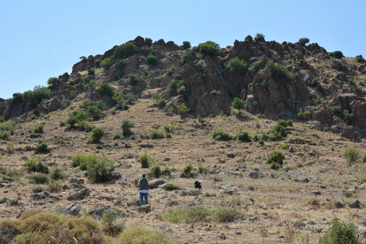 Kale Tepe - Diyarbakır