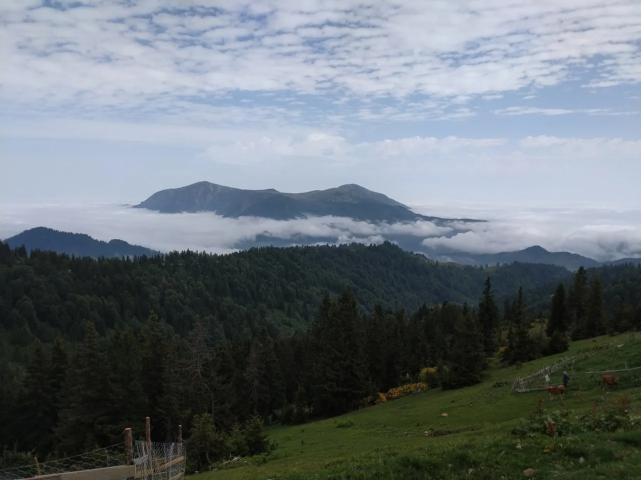 Sis Dağı - Giresun