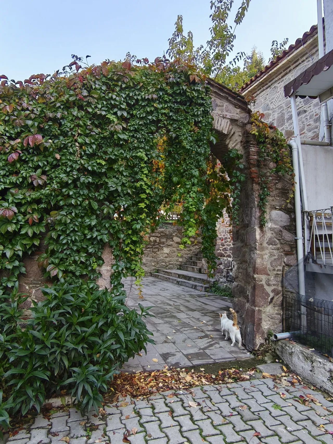 Aya Paraskevi Kilisesi - İstanbul