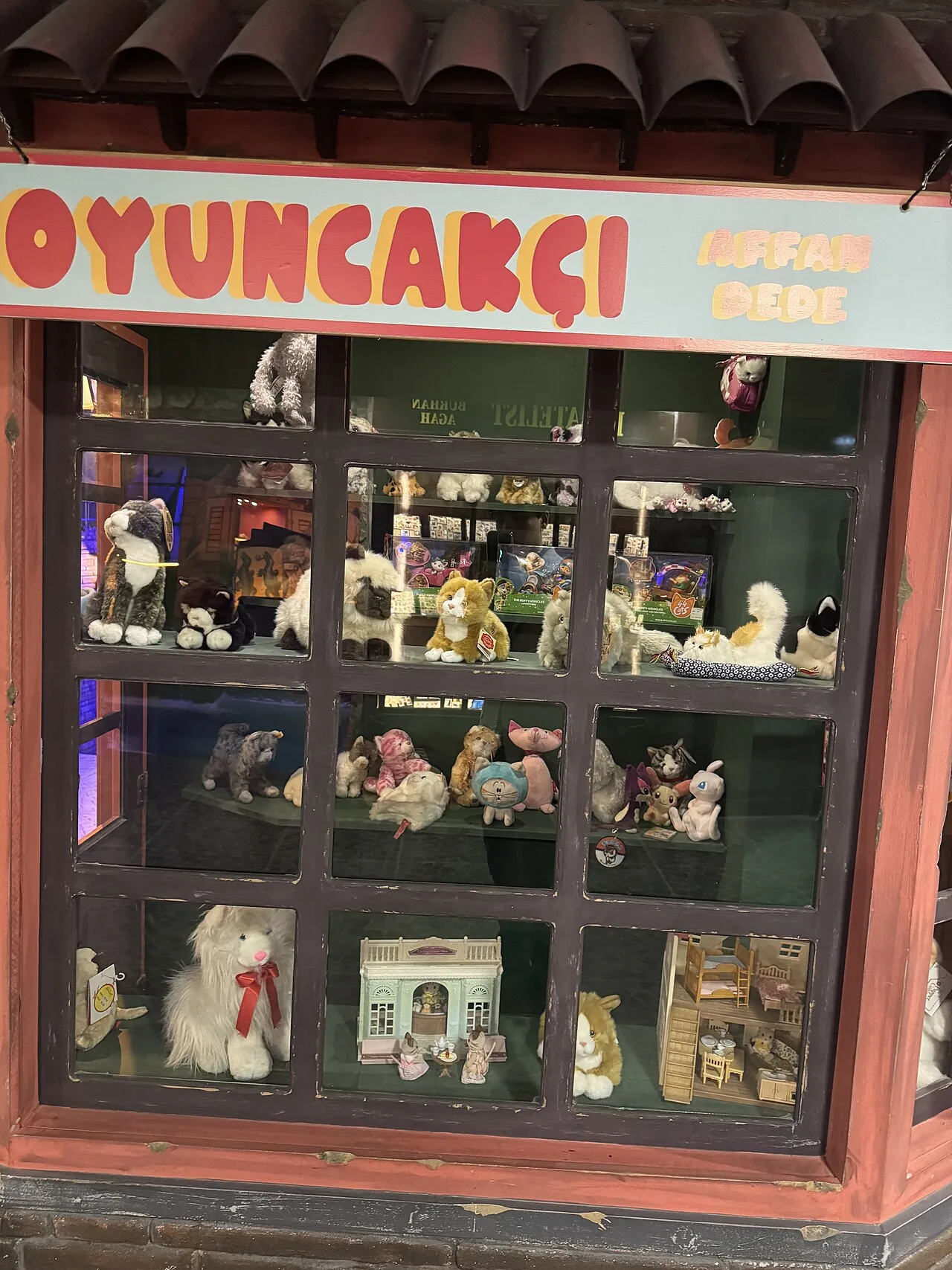Beşiktaş Cat Museum - İstanbul