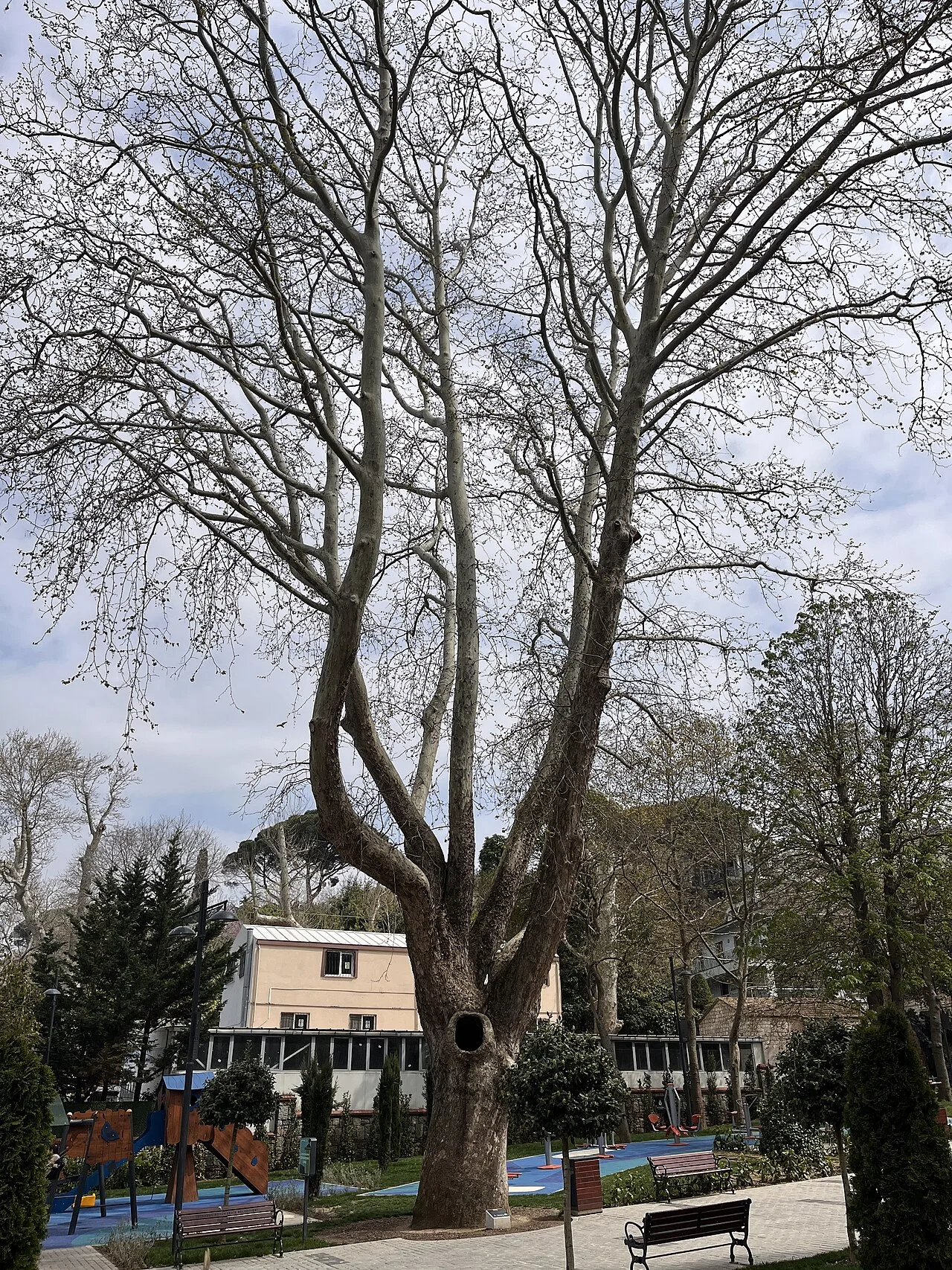 Havuzbaşı Park - İstanbul