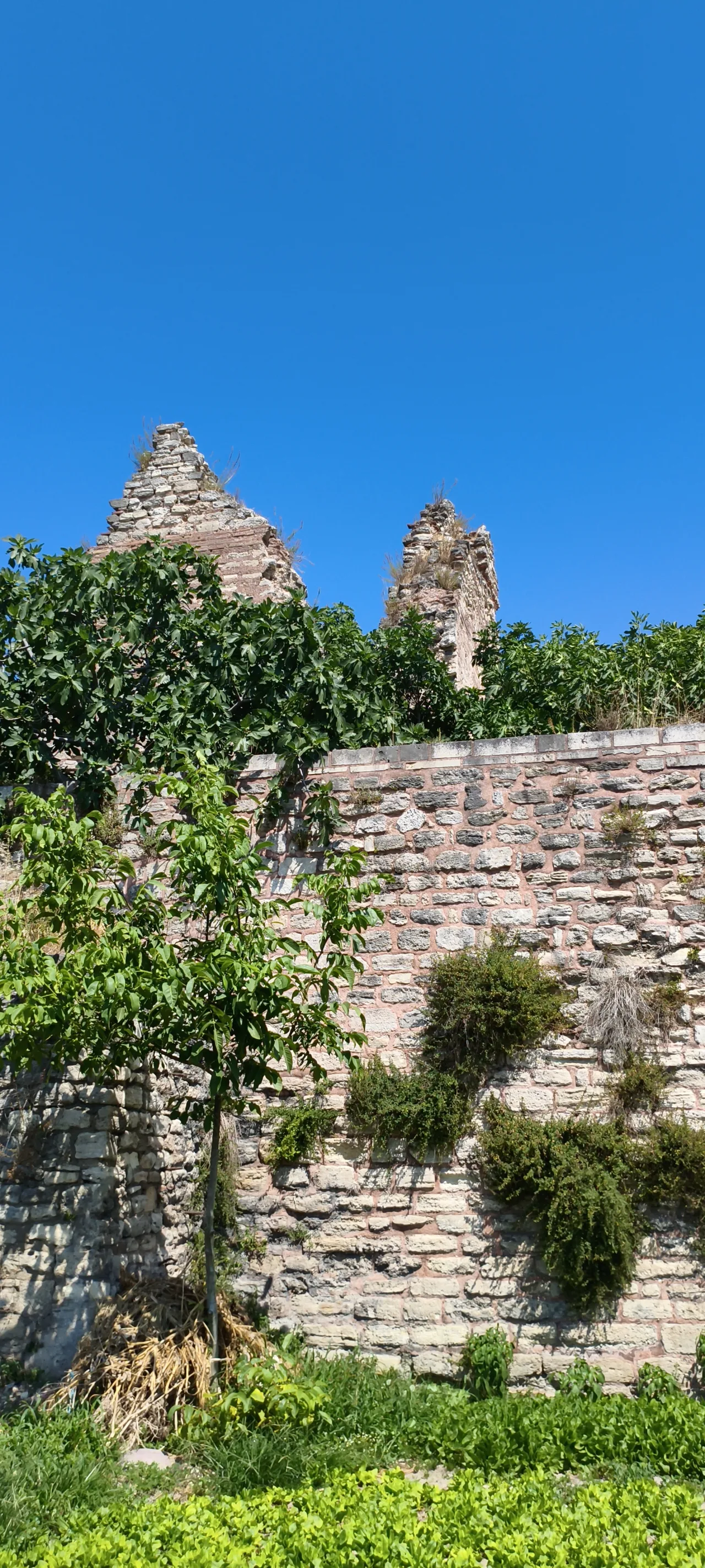 Kara Surları No. T31 - İstanbul