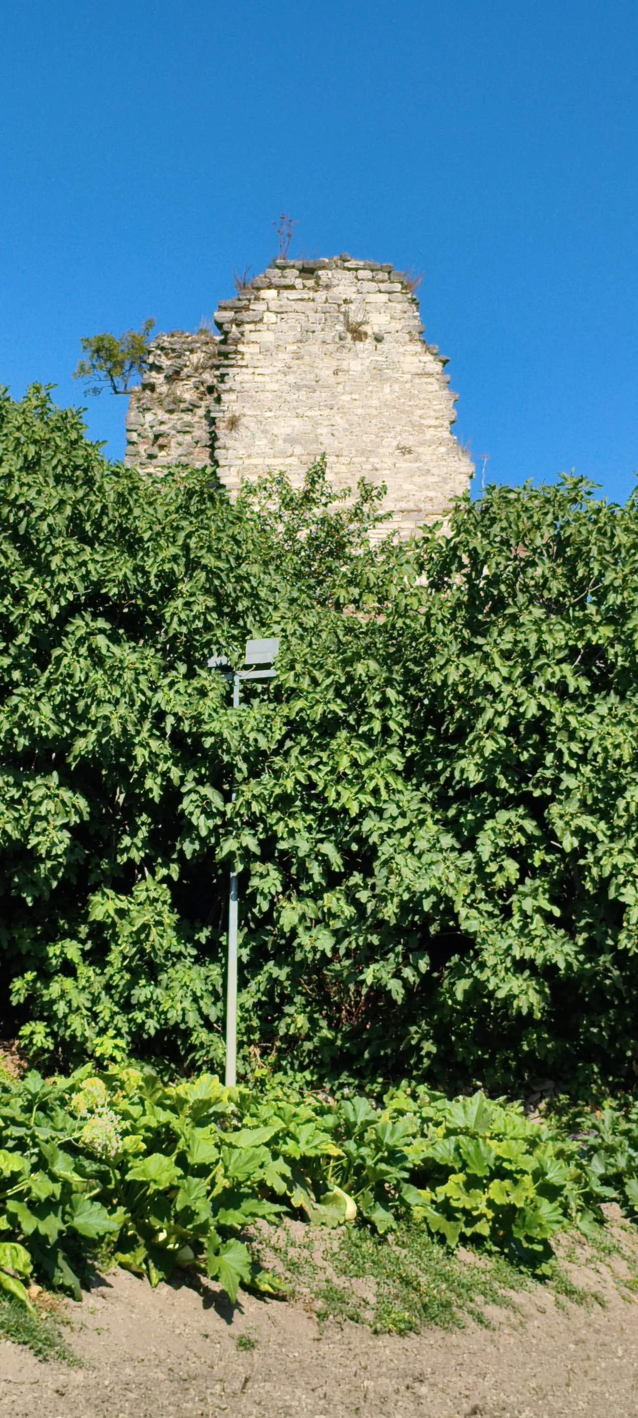 Kara Surları No. T40 - İstanbul