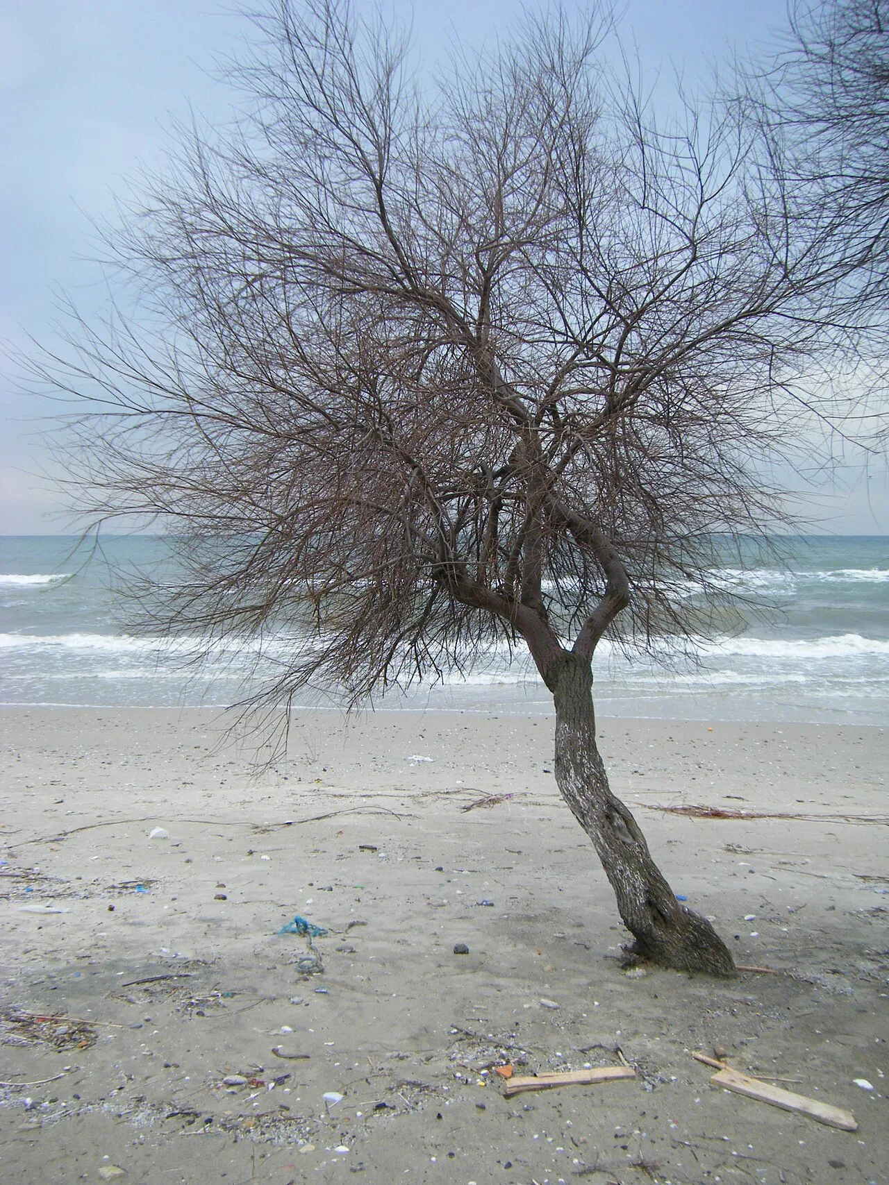 Menekşe Beach - İstanbul