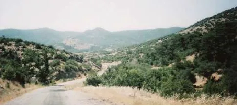 Yunt Dağları - İzmir