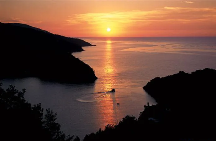 Cytorus - Kastamonu