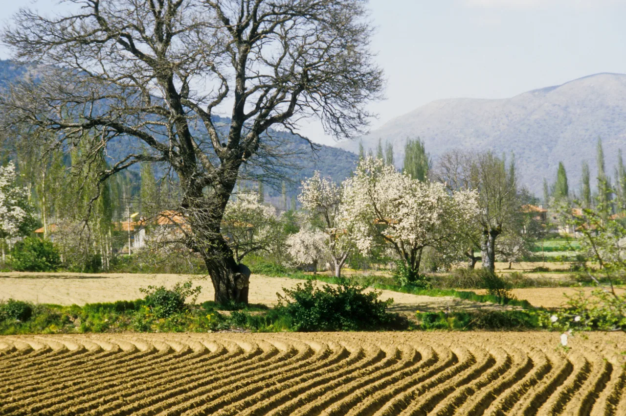 Gölcük Yaylası - Kastamonu