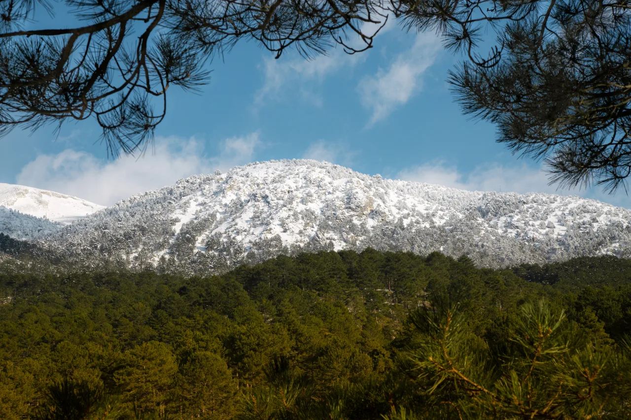 Karlı Dağı - Kocaeli