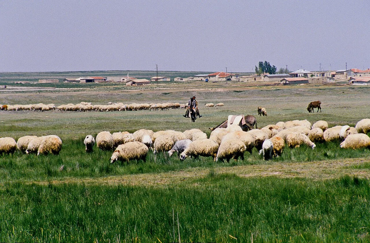 Lake Bolluk - Konya