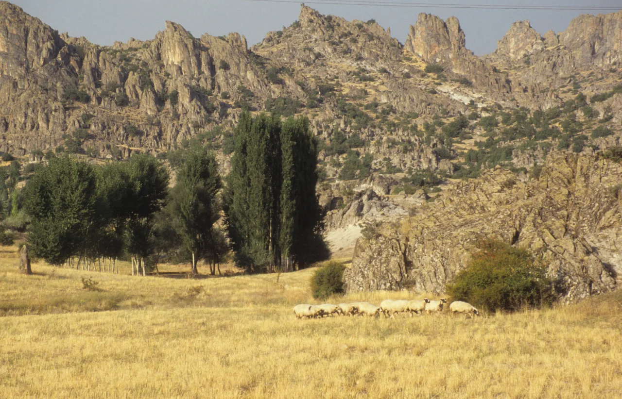 Erenler Dağı - Konya