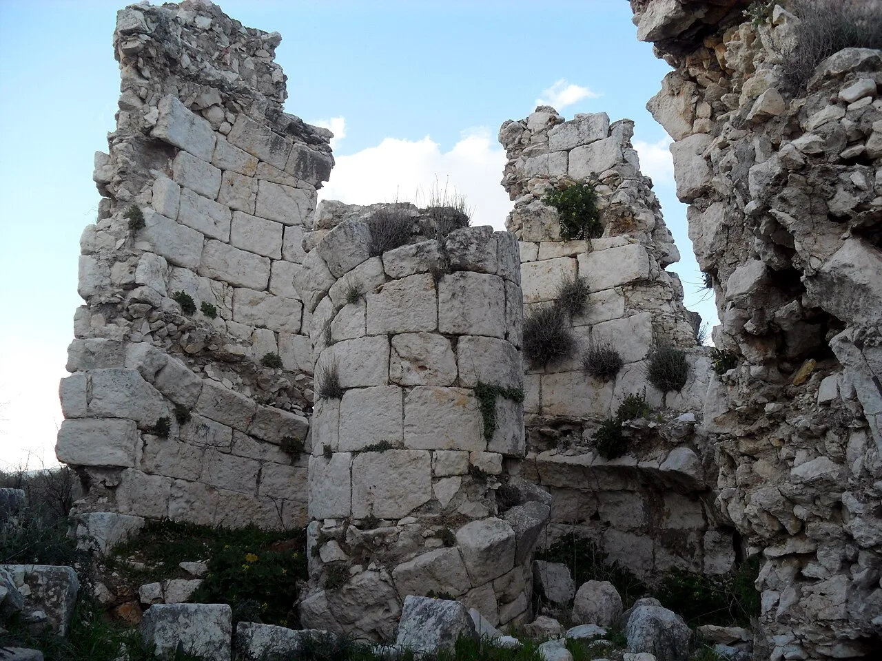 Akkale öreni - Mersin