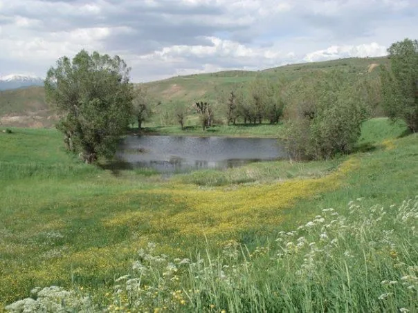 Dipsiz Göl - Mersin