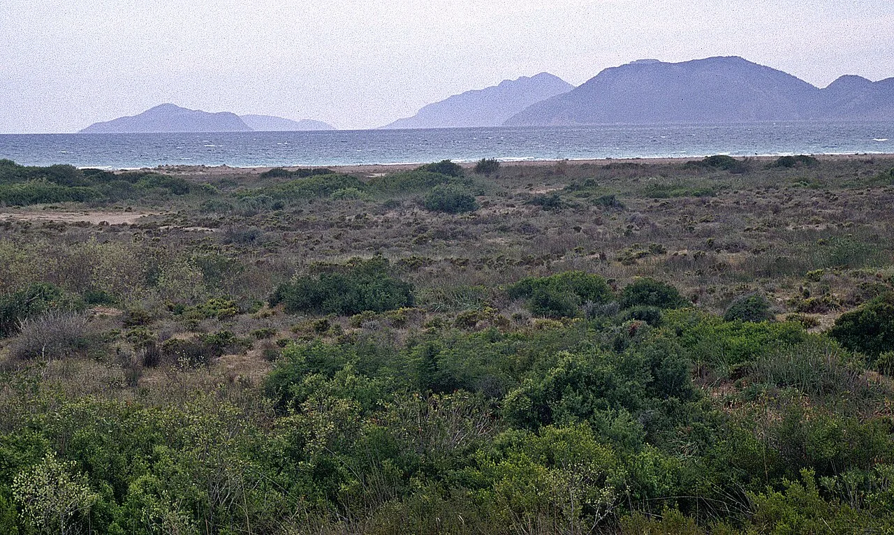 Göksu Delta - Mersin