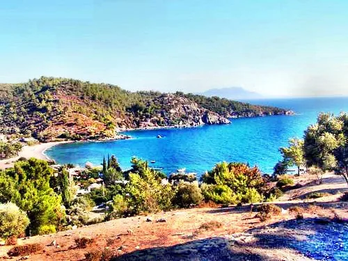 Mazi İni - Mersin