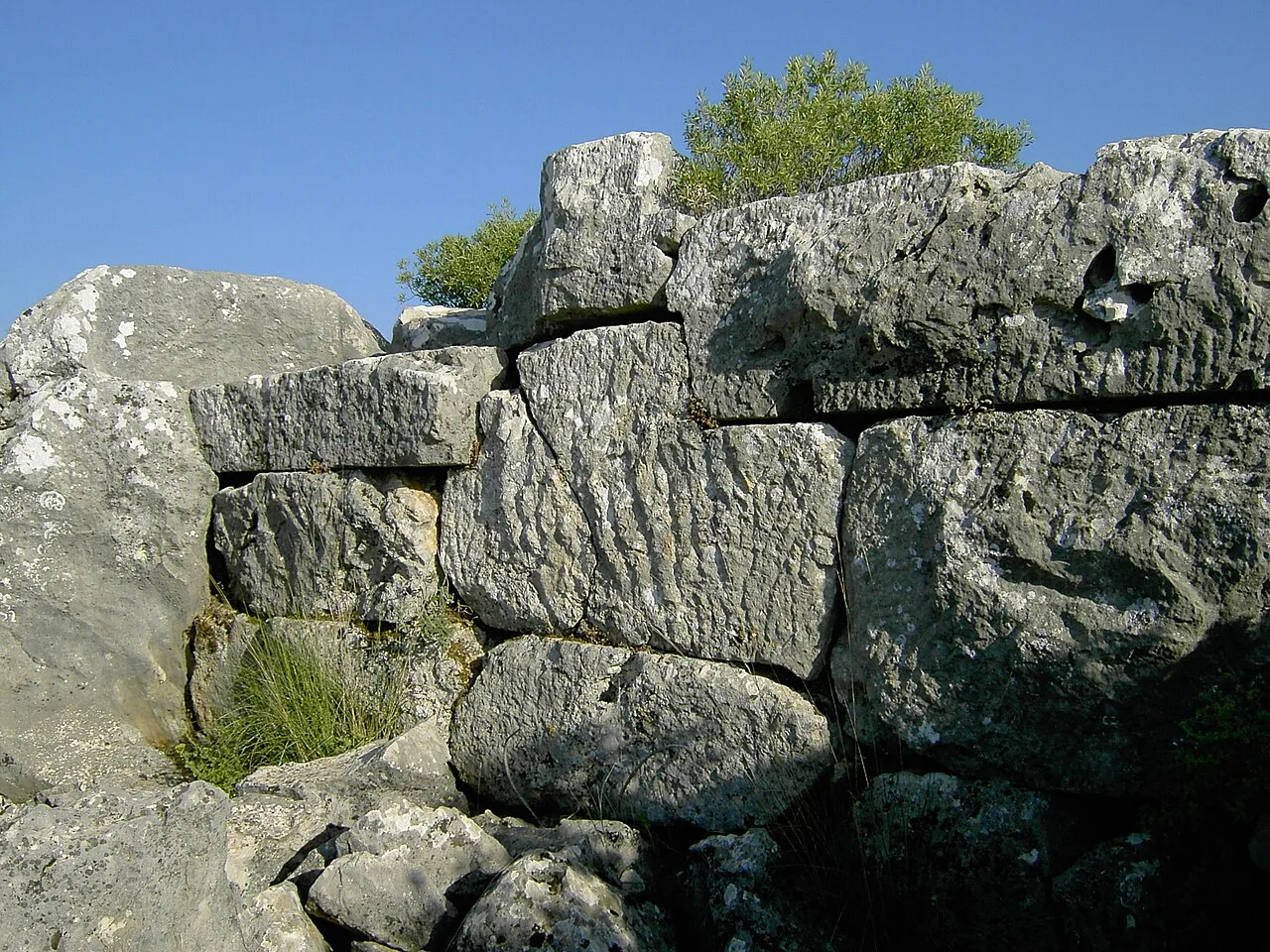 Arsada - Muğla