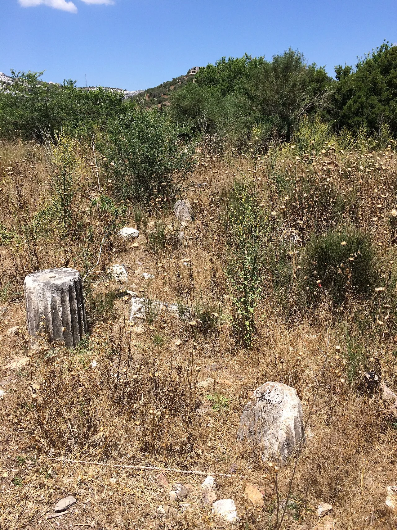 Bargylia - Muğla