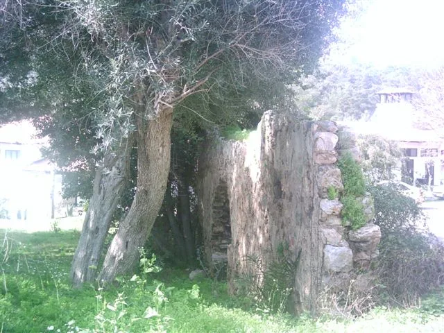 Pisilis - Muğla