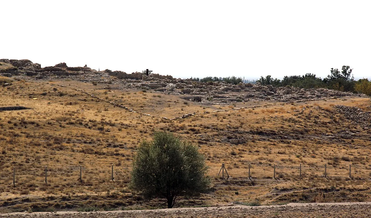 Köşk Höyük - Niğde