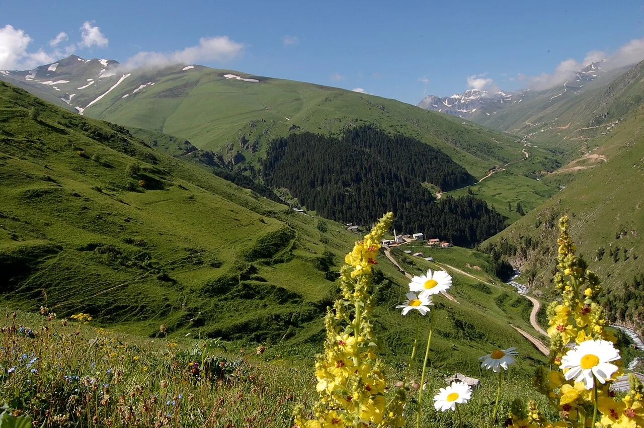 Anzer yaylası - Rize