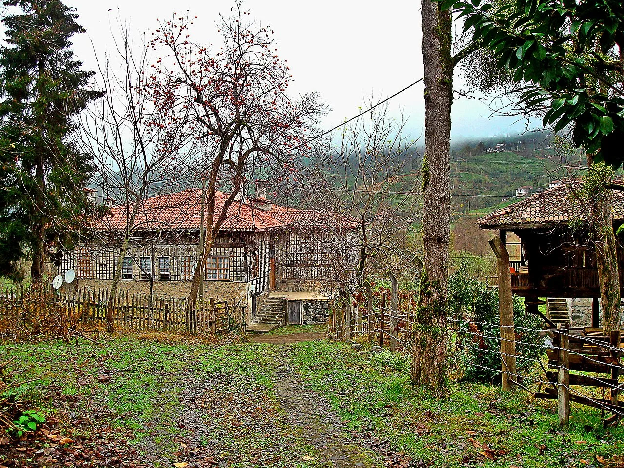 Çağlayan Köyü Köprüsü - Rize