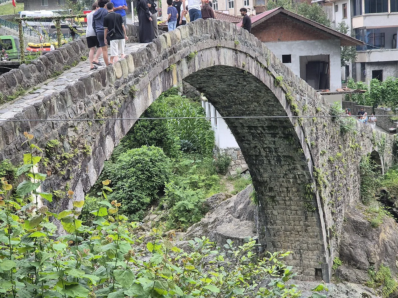 Timisvat Köprüsü - Rize