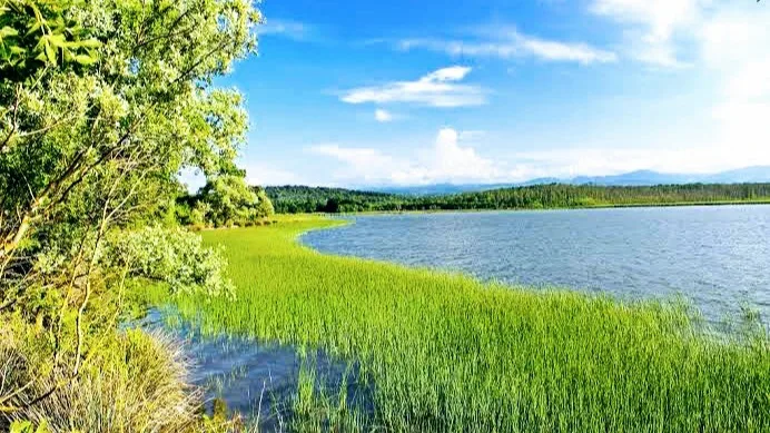 Sarıkum Lake - Sinop