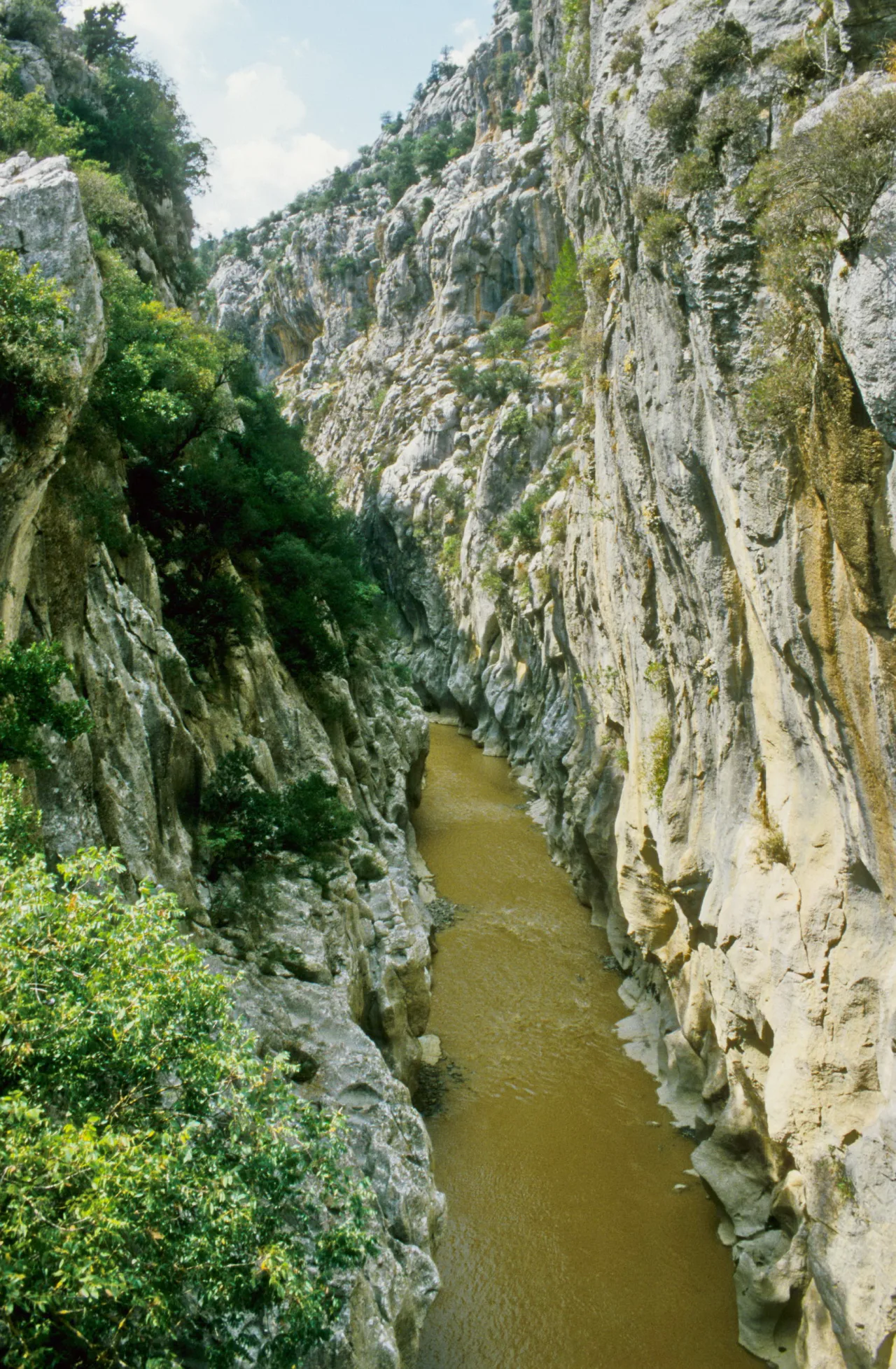Çaltepe - Sivas