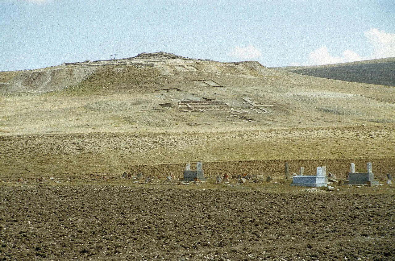 Sarissa - Sivas